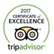 Certificate of excellent 2017